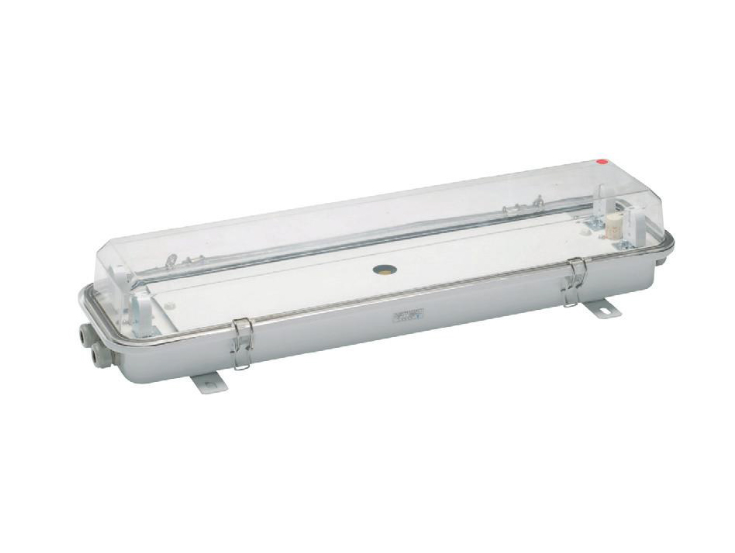 ZYC22-2 2x18W 110-220VAC IP56 Outdoor metal-cased fluorescent